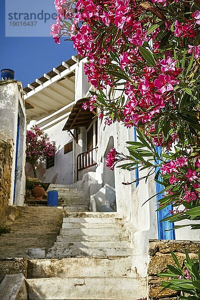 Schöner Eingang zu einem traditionellen griechischen Inselhaus. Alte Steintreppen  weiß getünchte Wände und blaue Türen  im Vordergrund blühende rosa Bougainvillea. Mediterrane Lebensart. Selektiver Fokus. Mykonos  Kykladen  Griechenland  Europa