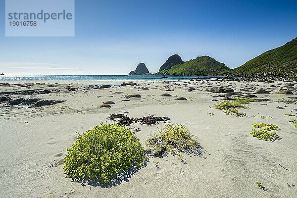 Strand Sandvika bei Nykvåg  Insel Langøya  Inselgruppe Vesterålen  Norwegen  Europa