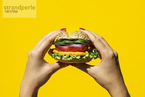 Person hält leckeren Veggie Burger. Auflösung und hohe Qualität schönes Foto
