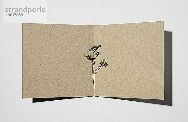 Draufsicht Briefpapier mit Pflanze. Auflösung und hohe Qualität schönes Foto