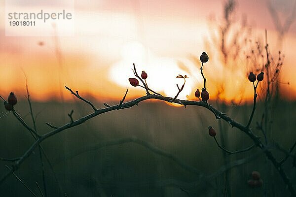 Friedliche Aussicht Sonnenuntergang Licht 2. Auflösung und hohe Qualität schönes Foto