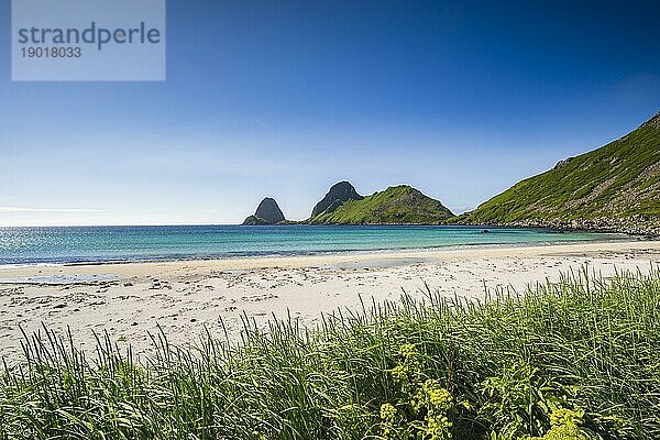 Strand Sandvika bei Nykvåg  Insel Langøya  Inselgruppe Vesterålen  Norwegen  Europa