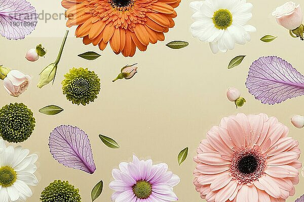 Draufsicht Frühling Gerbera Blumen mit Gänseblümchen Blätter. Auflösung und hohe Qualität schönes Foto