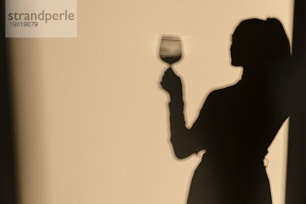 Silhouetten Frau trinkt Wein. Hohe Auflösung Foto