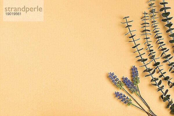 Draufsicht natürliches Lavendelpapier. Schönes Foto
