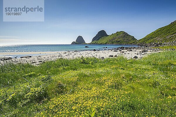 Strand Sandvika bei Nykvåg  Insel Langøya  Inselgruppe Vesterålen  Norwegen  Europa