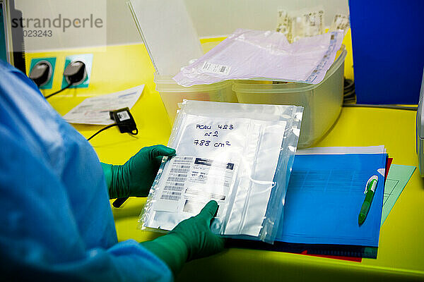 Haut von Spendern entnommen und an die Biobank geschickt  Vorbereitung von Hautproben. T