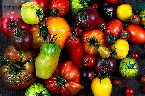 Nahaufnahme von gruppierten Acian-Tomaten  Draufsichten  gruppierten Aciennes-Tomaten  Draufsichten
