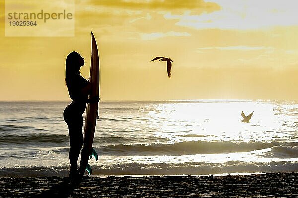 Eine schöne Brünette Bikinimodell ihr Surfbrett an einem Strand