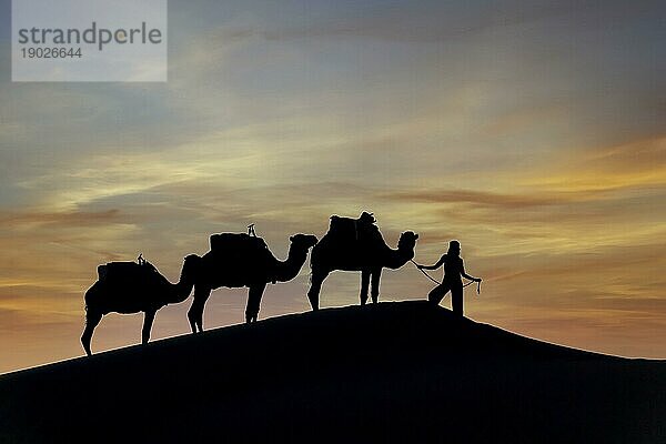 Silhouette von drei Kamelen und ihrem Führer vor der aufgehenden Sonne in der Wüste Sahara in Marokko