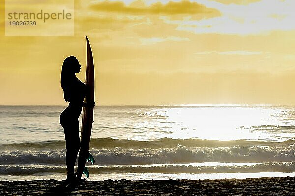 Eine schöne Brünette Bikinimodell ihr Surfbrett an einem Strand