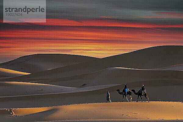 Zwei Passagiere und ihr Betreuer reisen durch die Wüste Sahara in Marokko