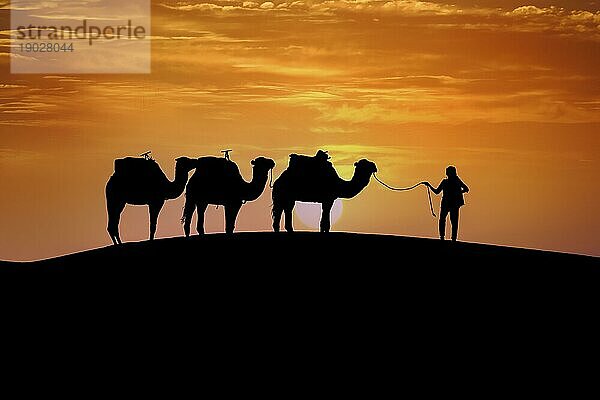 Silhouette von drei Kamelen und ihrem Führer vor der aufgehenden Sonne in der Wüste Sahara in Marokko