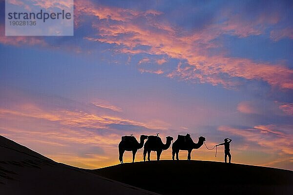 Silhouette von drei Kamelen und ihrem Führer vor der aufgehenden Sonne in der Wüste Sahara in Marokko