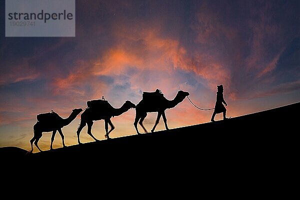 Silhouette von drei Kamelen und ihrem Führer vor der aufgehenden Sonne in der Wüste Sahara in Marokko