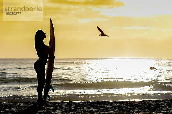 Eine schöne Brünette Bikinimodell ihr Surfbrett an einem Strand