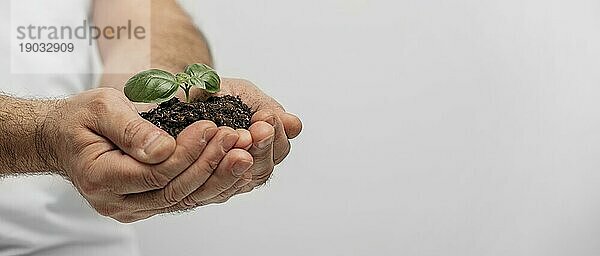 Seitenansicht männliche Hände halten Erde Pflanze mit Kopie Raum. Auflösung und hohe Qualität schönes Foto