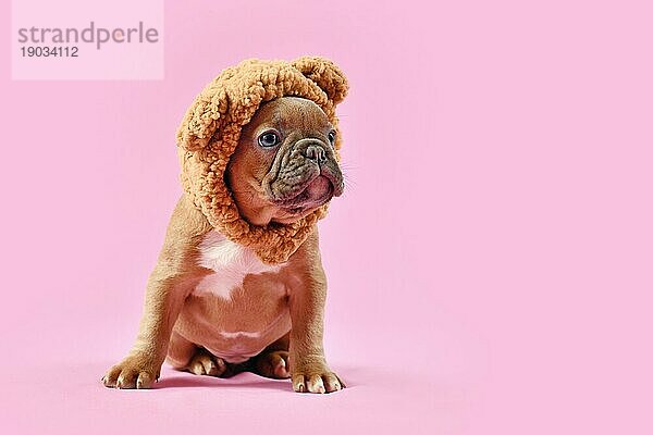 Französische Bulldogge Hundewelpe trägt Teddybär Kostüm Hut auf rosa Hintergrund