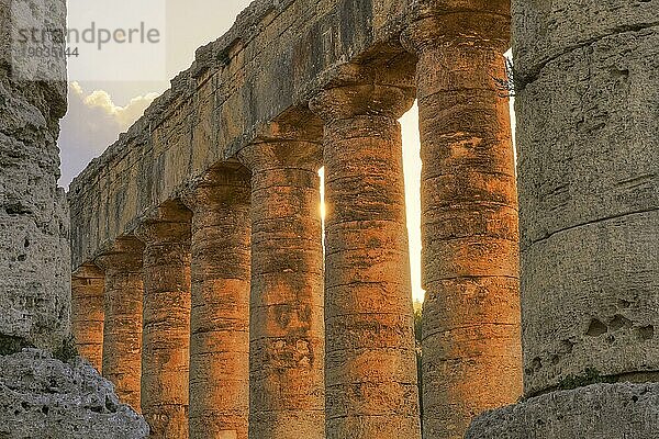 Abendlicht  Dorischer Tempel  Detail  Säulen im Gegenlicht  Segesta  Antike Stätte  Archäologische Stätte  Dorisch  Provinz Trapani  Sizilien  Italien  Europa