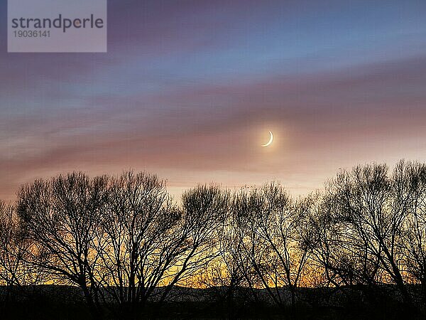 Kleiner Mond mit buntem Himmel und Baumsilhouette