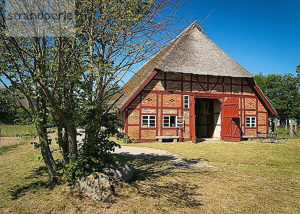 Schönes Haus mit Reetdach an der Ostsee