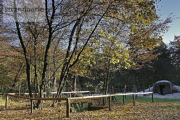 Herbststimmung in der Aue  Sieglitzer Park  Dessau-Wörlitzer Gartenreich  Biosphärenreservat Mittlere Elbe  Sachsen-Anhalt  Deutschland  Europa