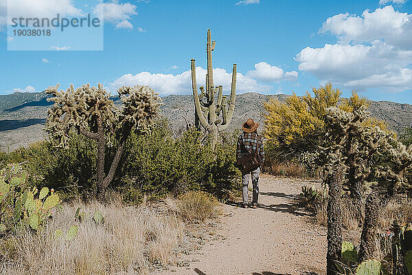 Tageswanderung für junge Männer durch die Saguaro-Wälder in der Sonora-Wüste