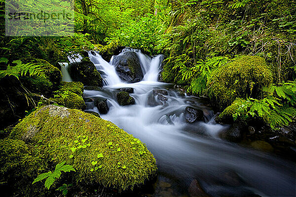 Eagle Creek liegt am Eagle Creek Trail im Columbia River Gorge National Recreation Area im Norden Oregons.