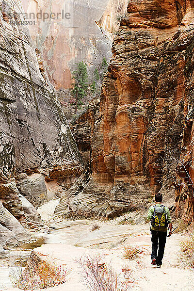 Rückansicht einer Wanderin in einer Schlucht im Zion-Nationalpark  Utah.