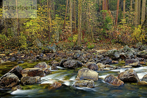 Herbstlaub säumt den Merced River im Yosemite-Nationalpark  Kalifornien  USA; Herbst 2008