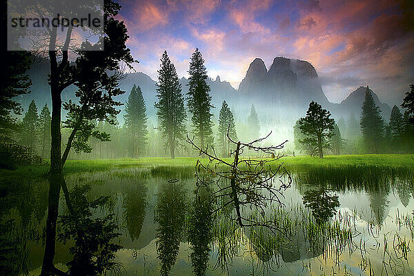 Der Cathedral Rock im Yosemite-Nationalpark  Kalifornien  spiegelt sich im Morgenlicht in einem saisonalen Frühlingsteich.