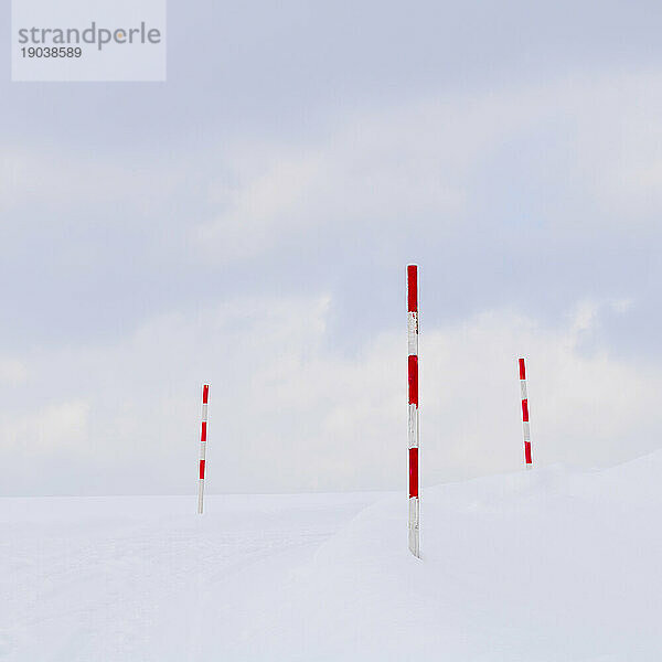 Holzstangen im Schnee  Biei  Hokkaido  Japan