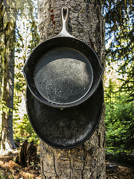 Gusseiserne Bratpfannen hängen an einem Baum