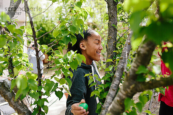Profilaufnahme eines Mädchens  das ein Osterei aus Plastik in einem Baum findet