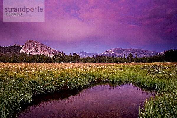 Sommersonnenuntergang über Tuolumne Meadows im Yosemite-Nationalpark High Country  Kalifornien  USA; Juli 2006