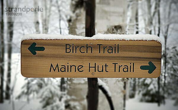 An einem Baum hängt ein Holzschild  das den Weg zu bestimmten Wanderwegen bei Maine Huts and Trails weist. Maine  Neuengland.