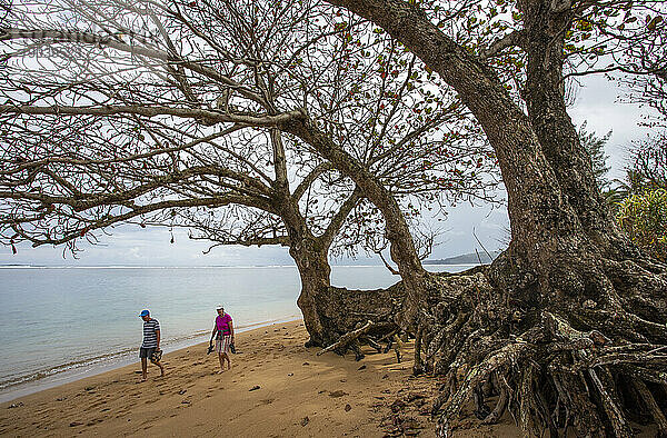 Menschen  die am Anini Beach  Kauai  spazieren gehen