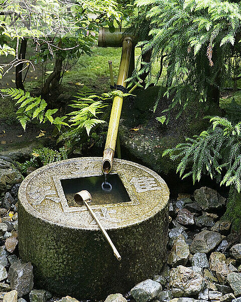 Ryoan-jis Tsukuba  ein kleines Becken  das in japanischen buddhistischen Tempeln für Besucher bereitgestellt wird  um sich durch rituelles Händewaschen und Mundspülen zu reinigen. Kyoto  Japan.