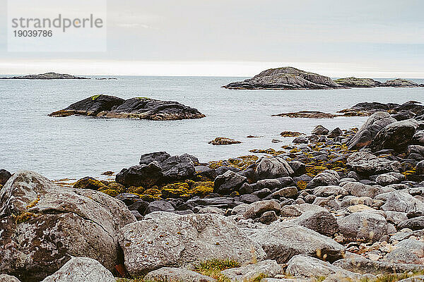 Meerblick auf den Lofoten  Norwegen