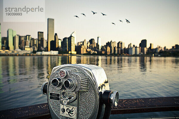 Vögel fliegen an einem Dock mit Blick auf eine Stadt vorbei.