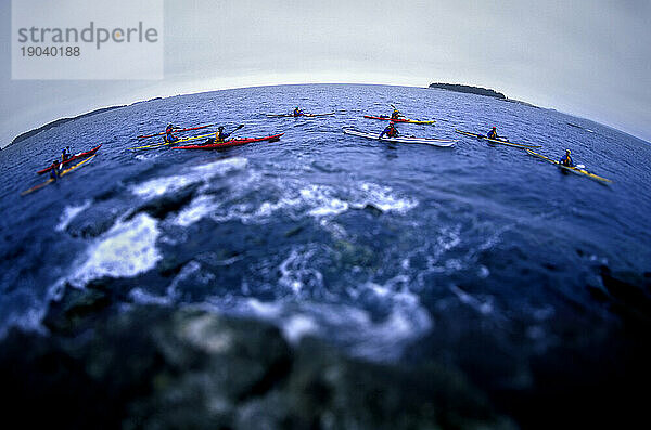 Eine Gruppe von Seekajakfahrern paddelt durch die Gewässer der Muscongus Bay  Maine.