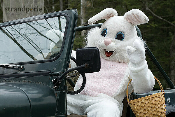 Der Osterhase feiert den Feiertag in seinem antiken Jeep.