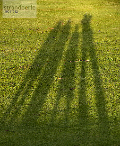 Familienporträt in Silhouette auf grünem Gras  Kauai