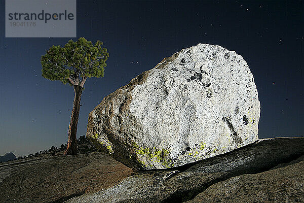 Typische Landschaft im Hochland des Yosemite-Nationalparks  Kalifornien. Nachts aufgenommenes Bild mit einer fotografischen Technik  die als Lichtmalerei bekannt ist; Sommer 2005.