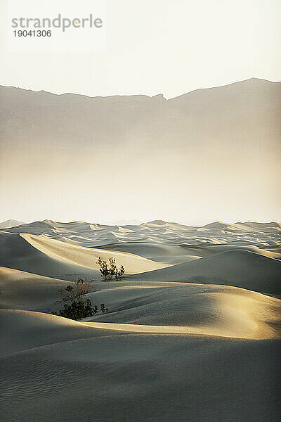 Sanddünen im Death Valley Nationalpark  Kalifornien.