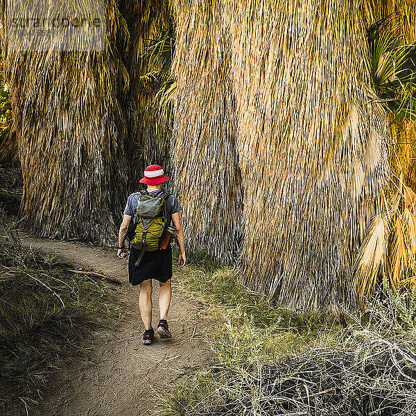Rückansicht einer Wanderin im Coachella Valley National Wildlife Refuge.