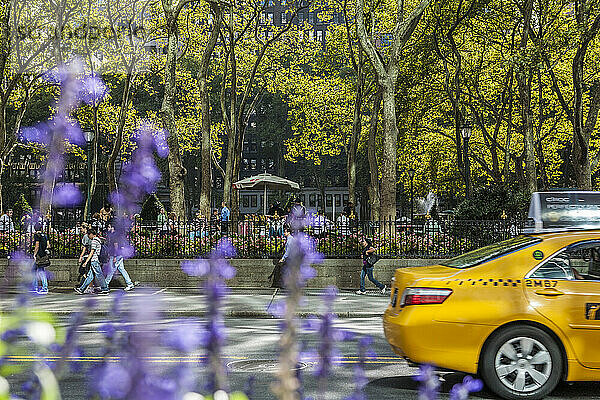 Außerhalb des Rahmens liegende Taxifahrten vor einem Park in Manhattan