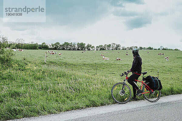 Radfahrer beobachtet Kühe auf der Wiese in der Romantischen Straße in Deutschland