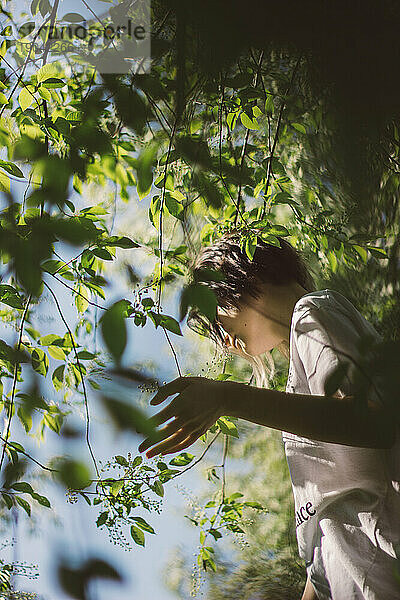Junges Mädchen steht an einem sonnigen Tag unter einem Baum