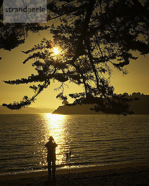 Rückansicht-Silhouette eines Wanderers in Tomales Bay  Point Reyes National Seashore  CA.